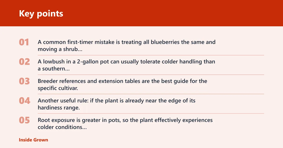 Key points: Blueberry winter plan
