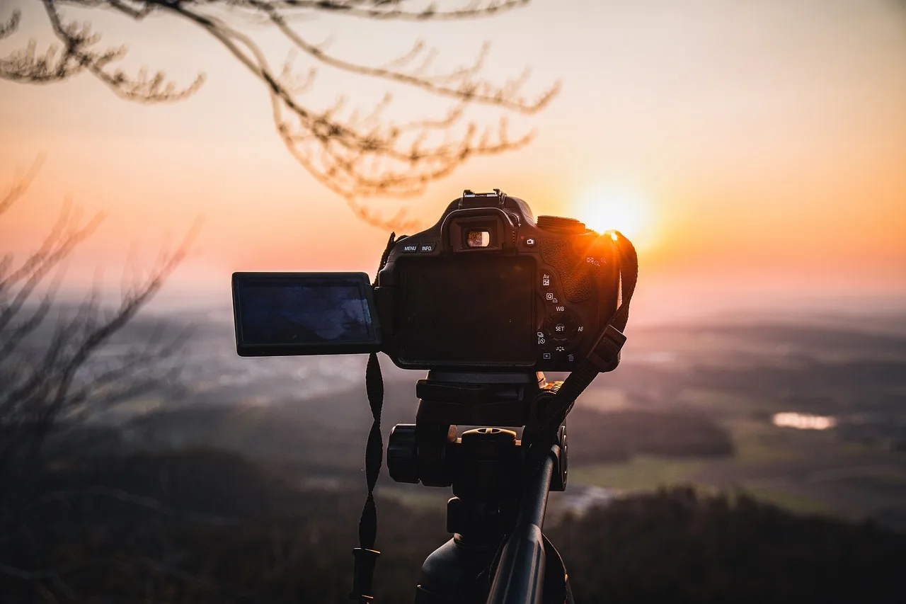 Can you bring a camera tripod to a botanical garden?