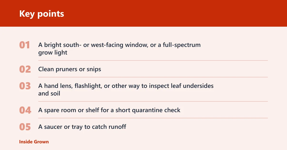 Key points: What you'll need