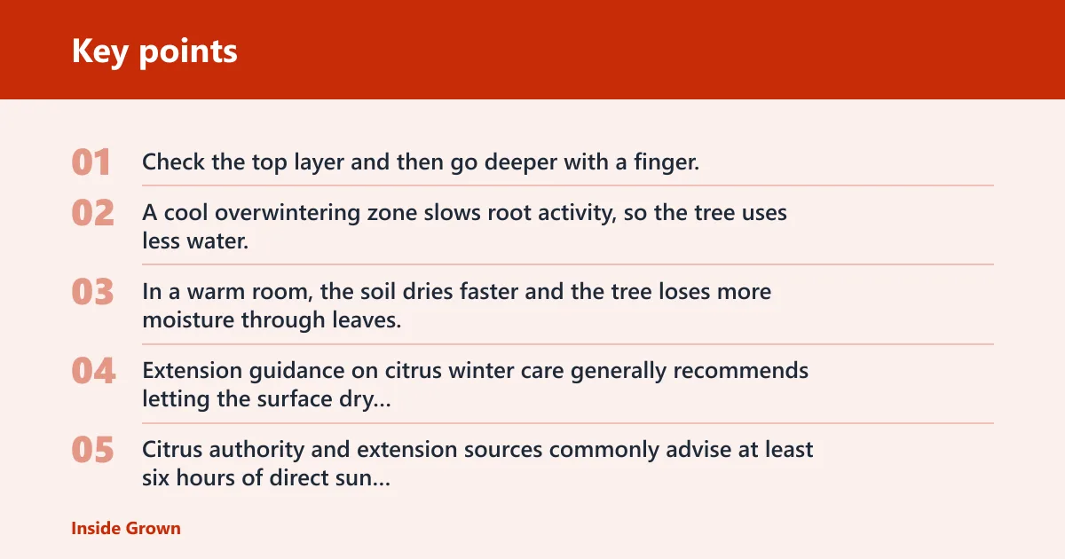 Key points: How much water and light does it need indoors?