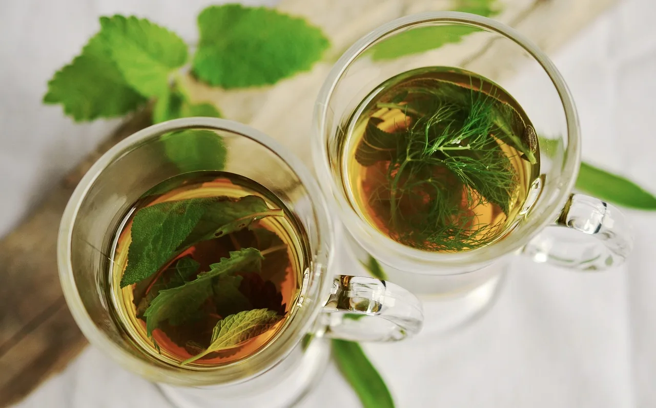 Can mint survive winter indoors?