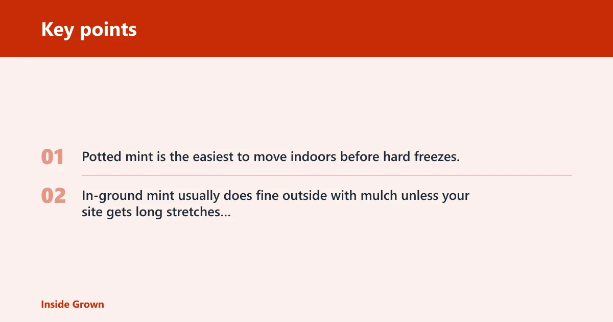 Key points: Mint winter decision matrix