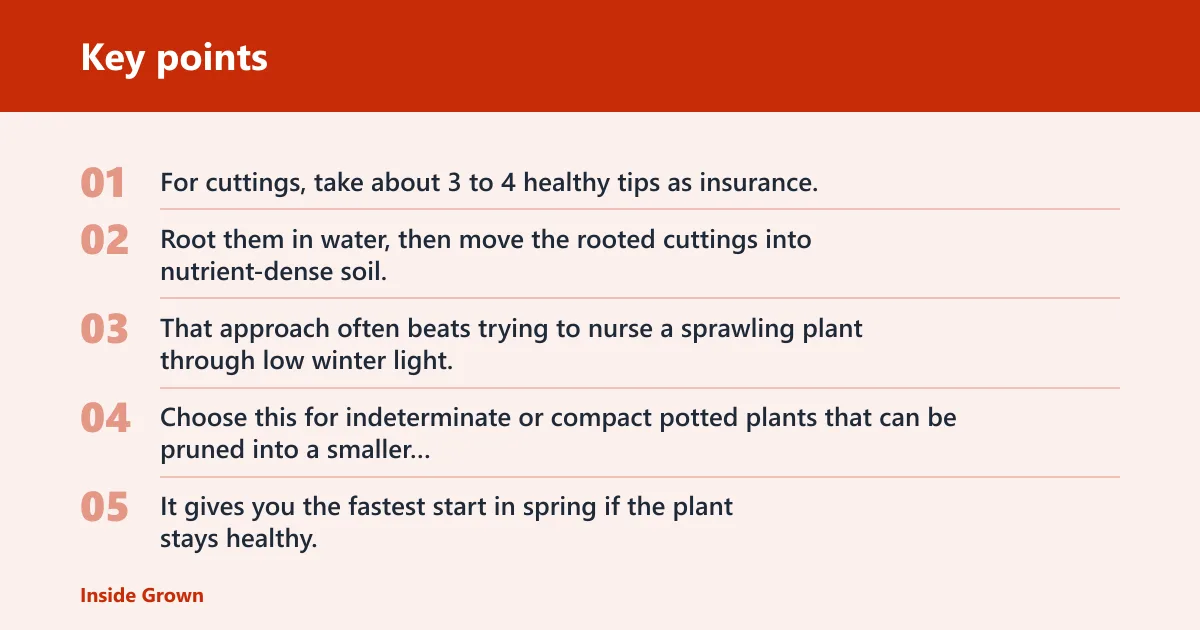 Key points: Should you keep the whole plant or start with cuttings?
