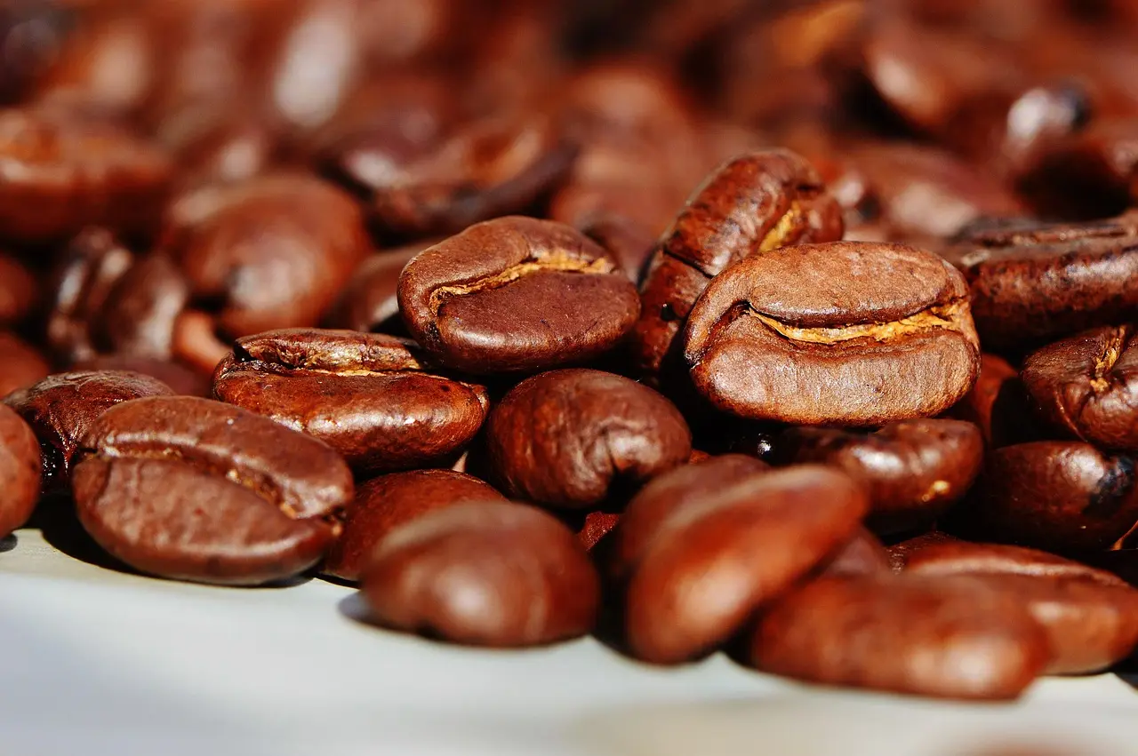 Are coffee grounds safe for vegetable gardens?