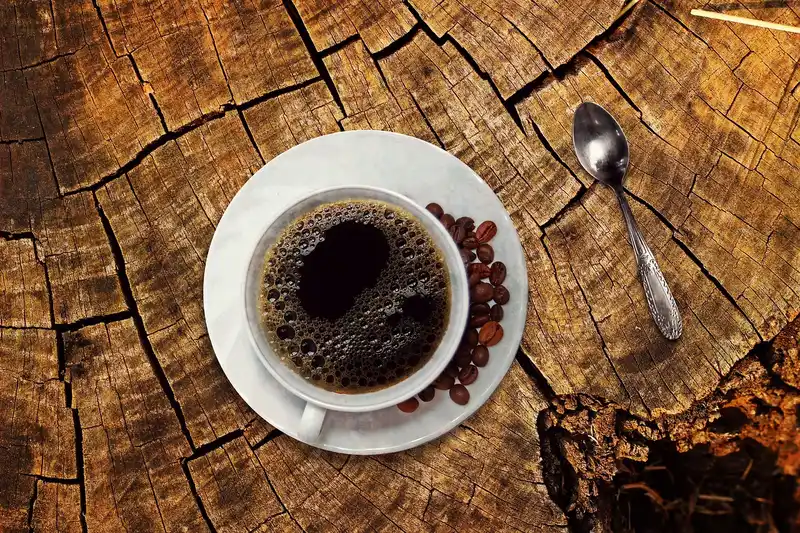 What coffee grounds actually add to soil