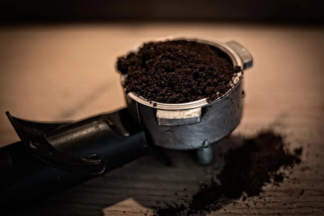 How to use coffee grounds safely in vegetable beds
