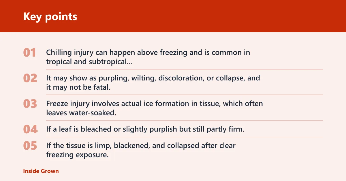 Key points: How do you tell cold damage from other problems?
