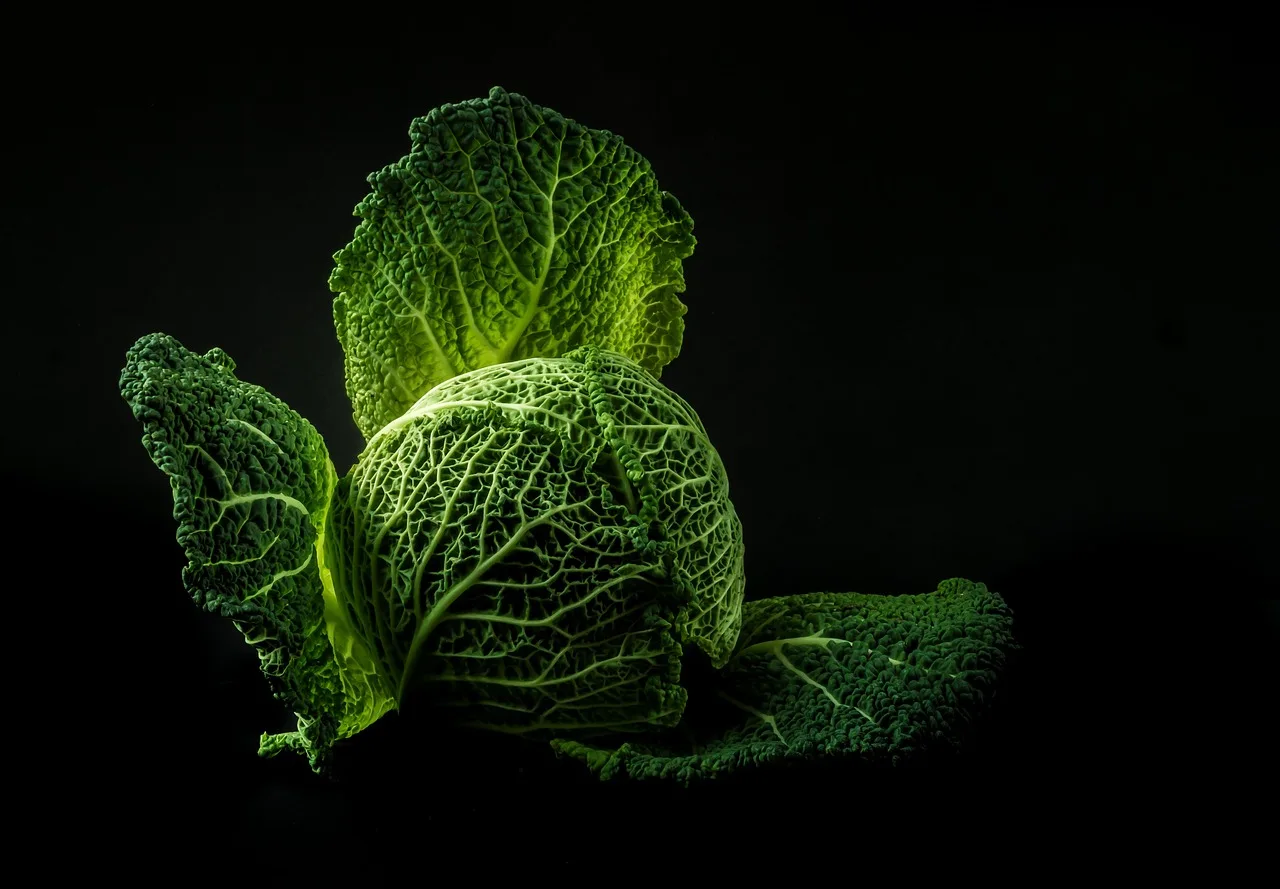 is copper fungicide safe for vegetable gardens