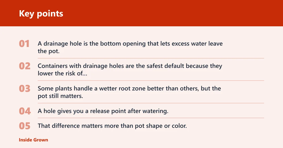 Key points: Do houseplants need drainage holes?