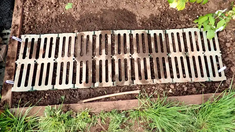 Hands measuring spacing beside seedlings and a ruler in damp garden soil