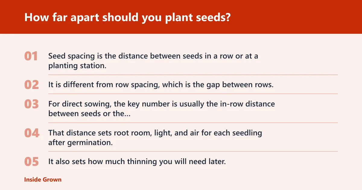 Steps: How far apart should you plant seeds?