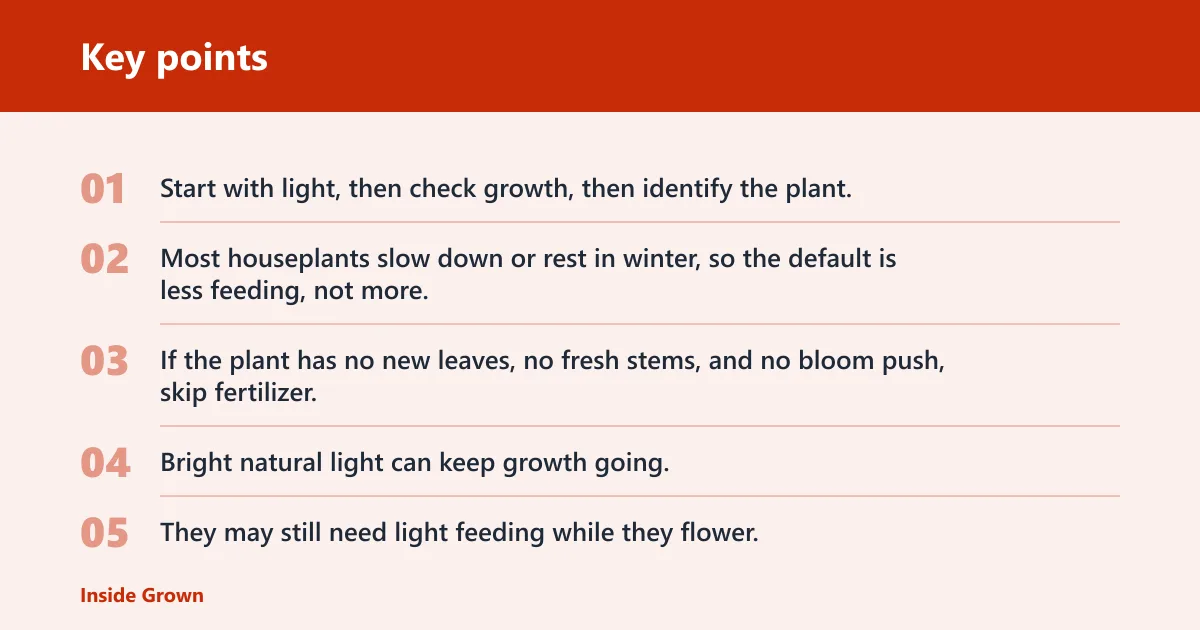 Key points: Winter feeding decision