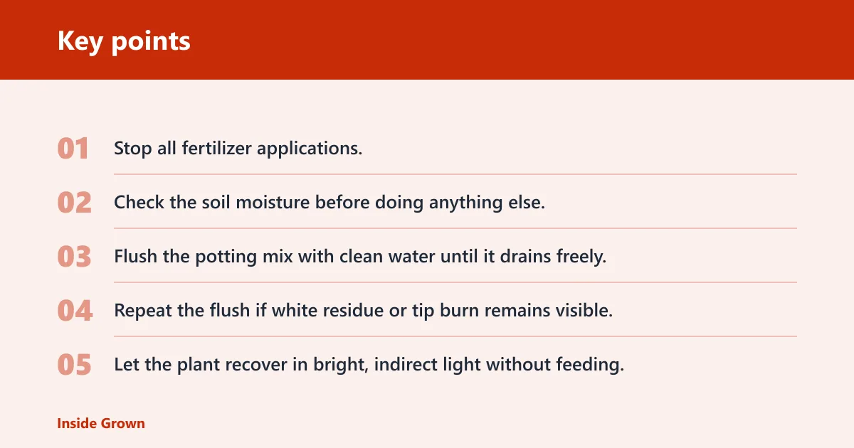 Key points: What happens if you overfertilize?