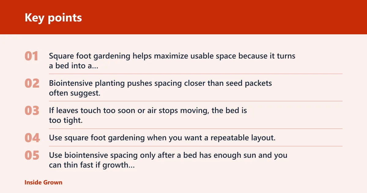 Key points: How do I maximize space with companion planting in raised beds?