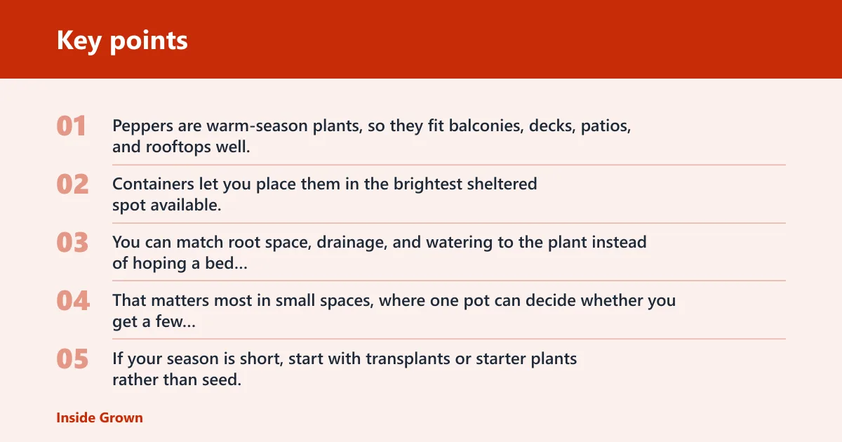 Key points: Why peppers do well in pots