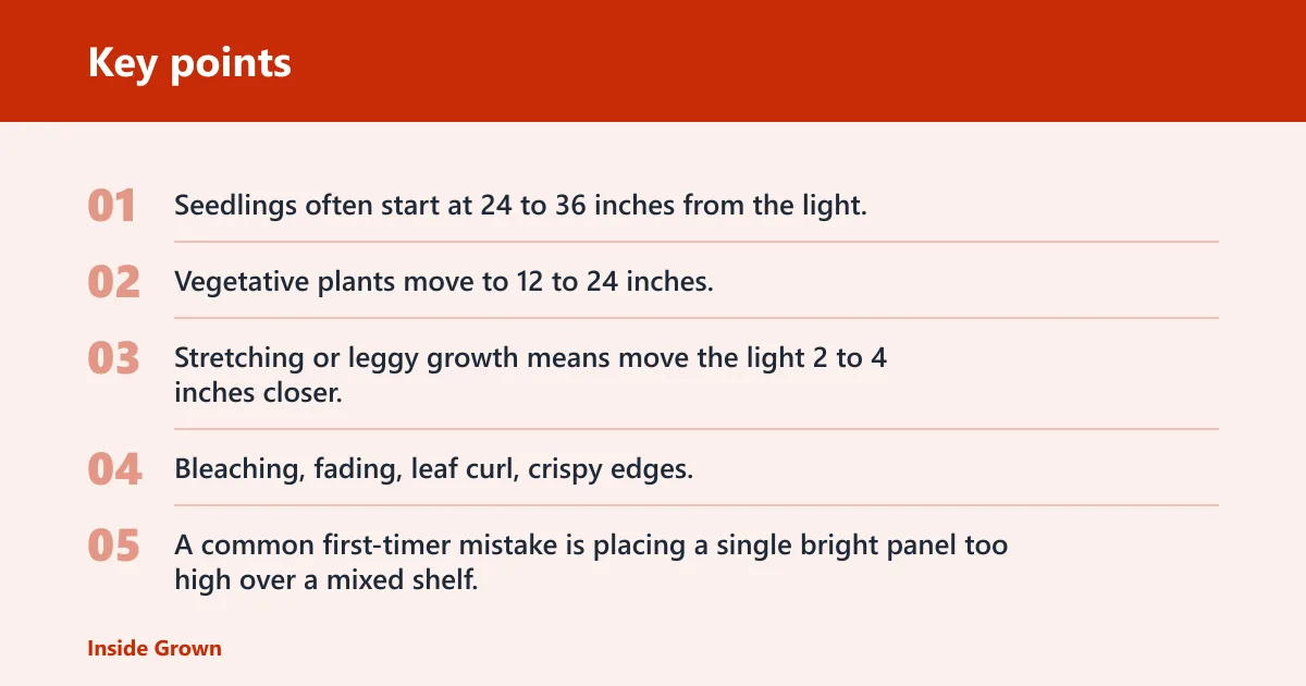 Key points: How far should the light be from plants?