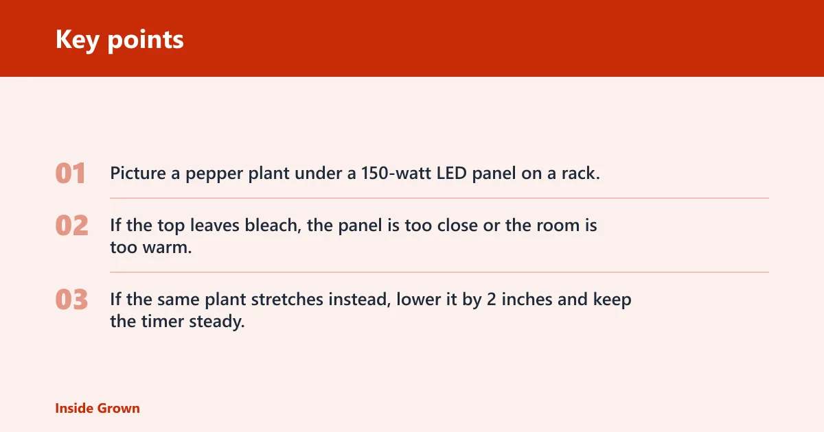Key points: Grow light placement matrix