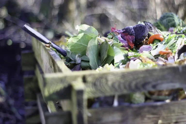 Home gardener sorting kitchen scraps beside a compost tumbler and vegetable bed.