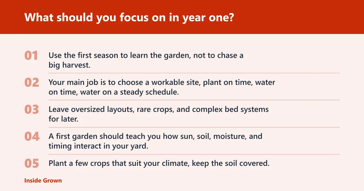 Steps: What should you focus on in year one?