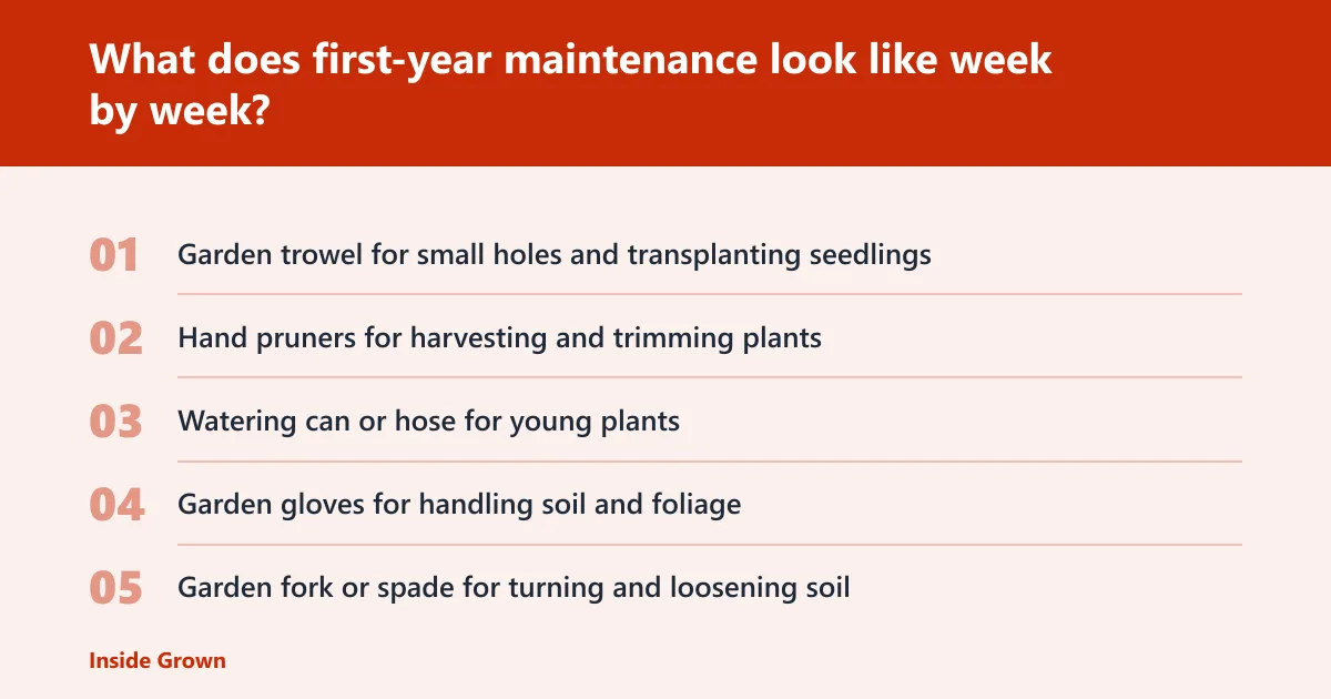 Steps: What does first-year maintenance look like week by week?