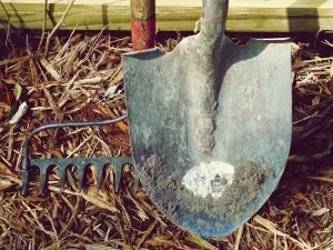 Gardening techniques for clay soil improvement that work