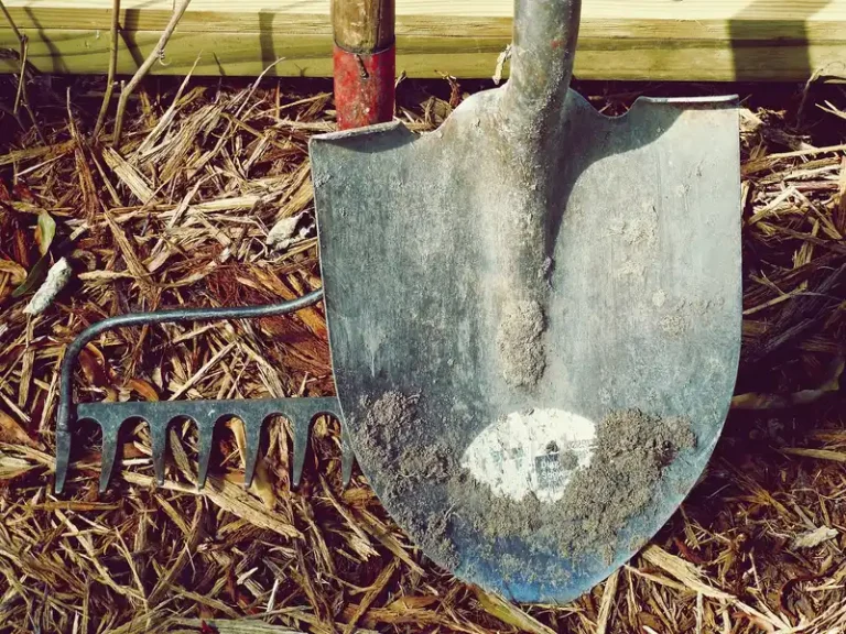 Gardener inspects sticky clay soil in a vegetable bed beside a spade and compost pile.
