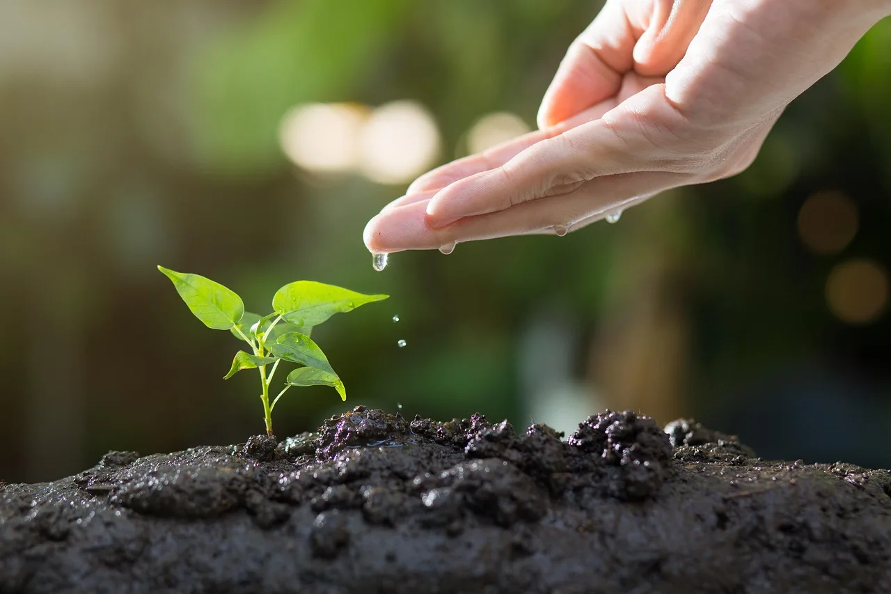 How do I improve soil so it holds water longer?