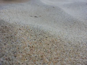 Gardening Techniques for Sandy Soil Improvement Plan