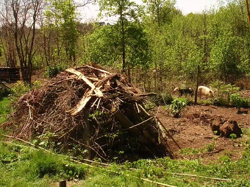 Hands working compost into sandy soil around plant roots