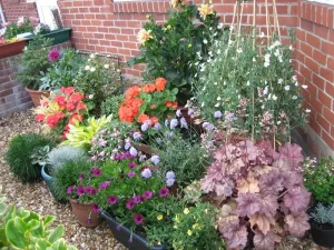 Gardening techniques for small spaces and patios guide