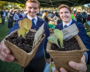 Gardening Techniques for Hardening Off Young Plants