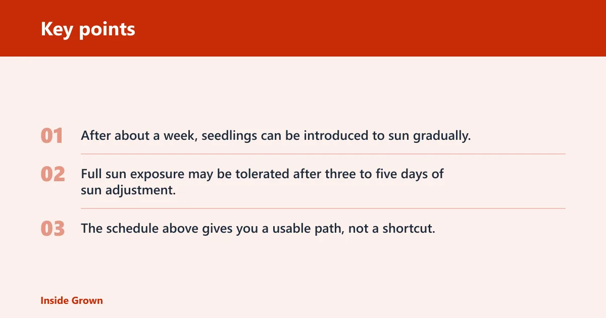 Key points: 7-day hardening-off schedule