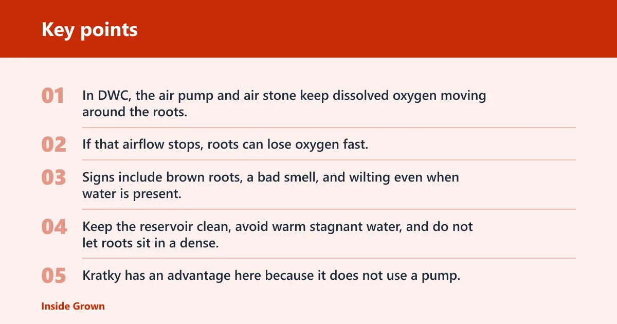 Key points: How do you avoid the most common failures?