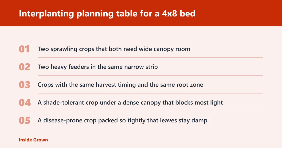 Steps: Interplanting planning table for a 4x8 bed
