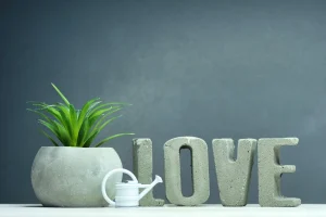 Gardening Techniques for Keeping Houseplants Healthy in Winter