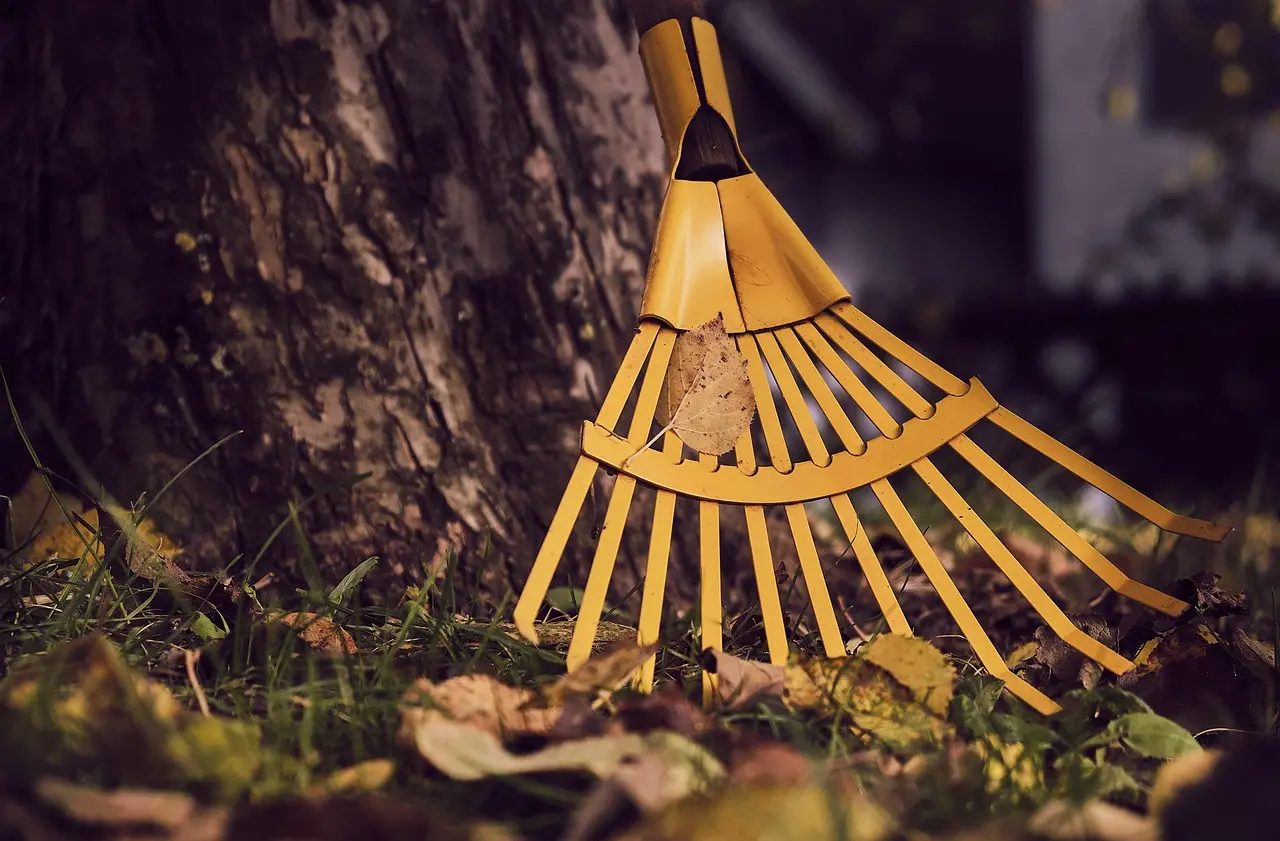 How leaf mold works