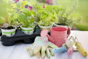 Gardening Techniques for Potted Herbs Indoors
