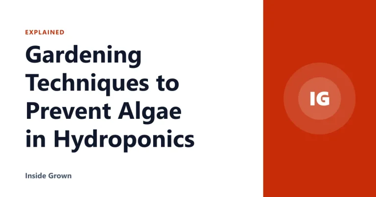 Gardening Techniques to Prevent Algae in Hydroponics