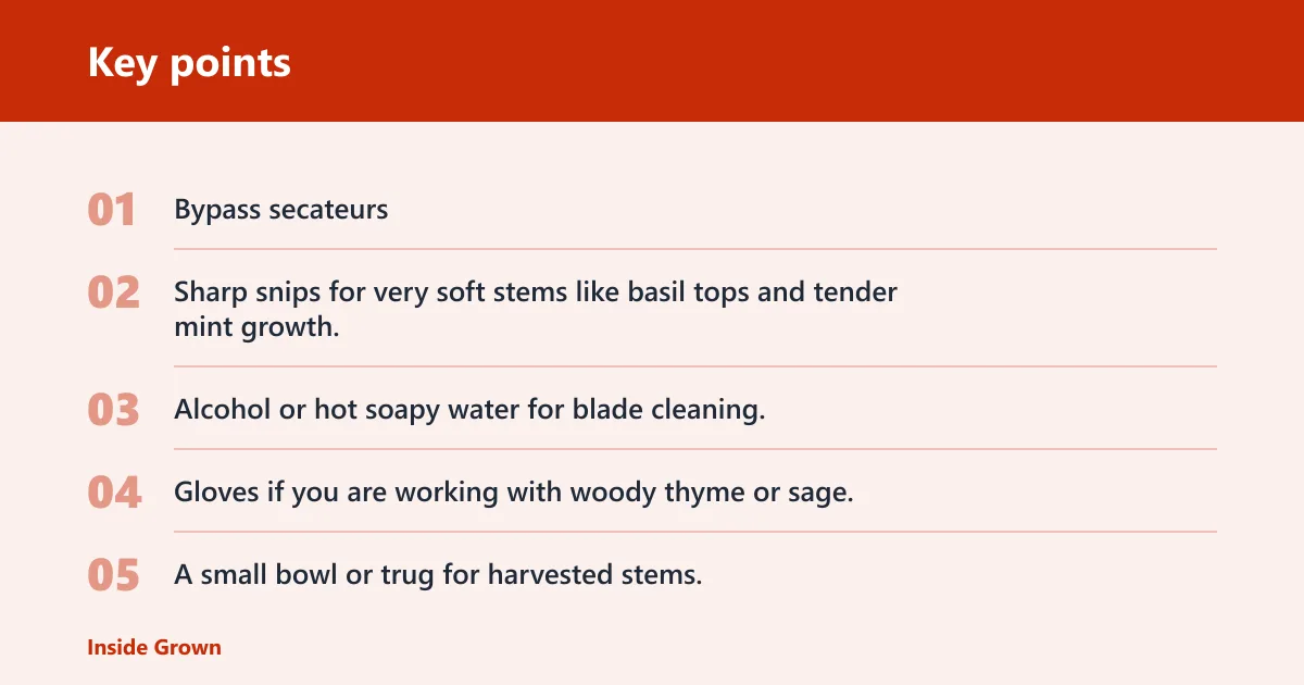 Key points: What you'll need before you cut