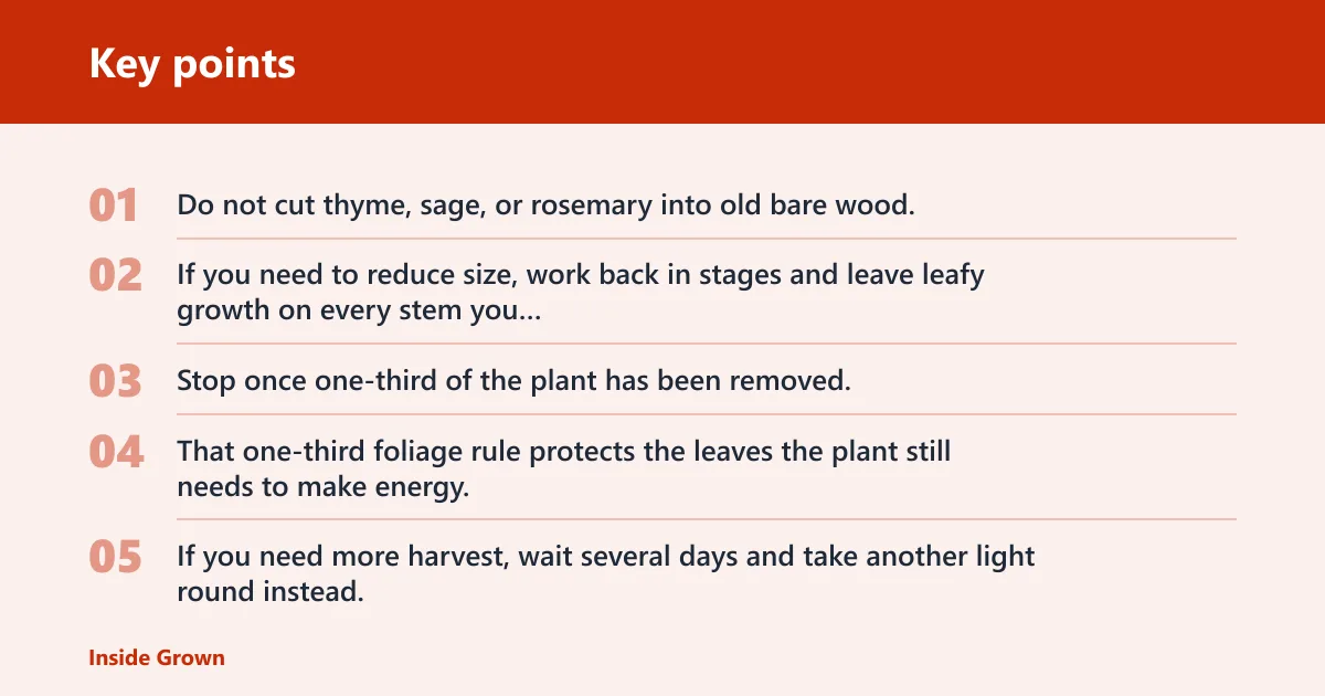 Key points: Common mistakes that slow regrowth