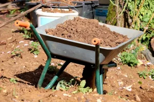 Gardening Techniques for Rebuilding Tired Soil