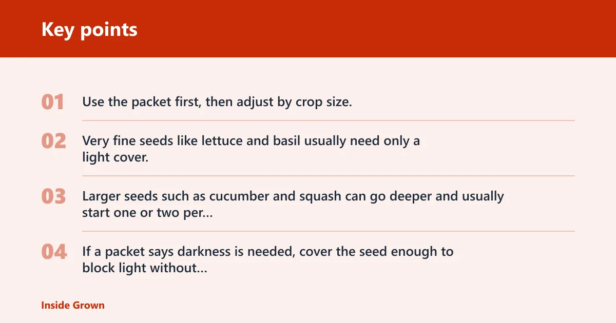 Key points: How deep should you plant seeds in seed trays?