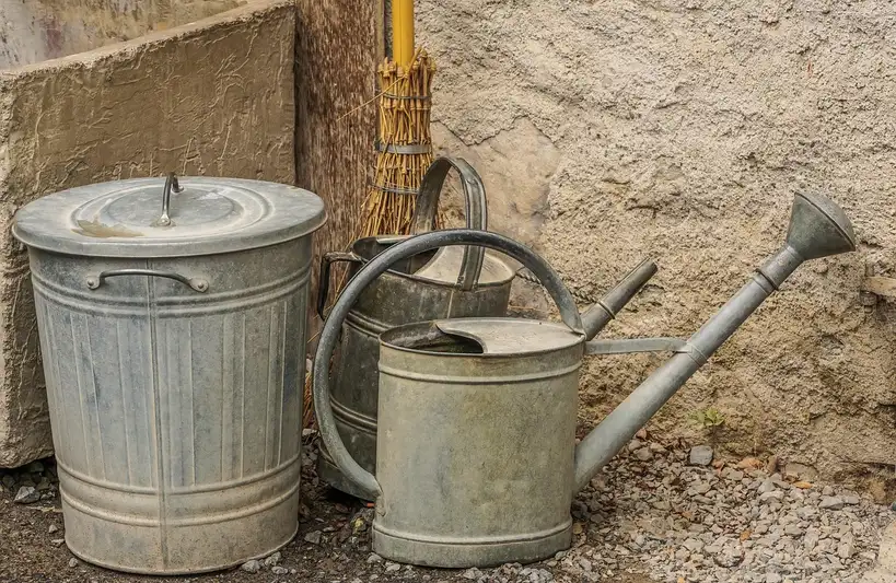 Why patio and balcony containers fail or thrive