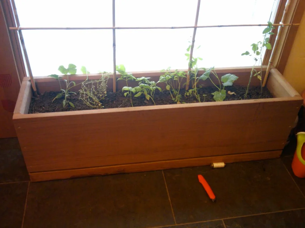 Hand checking potting mix in an herb pot with drainage holes and visible perlite