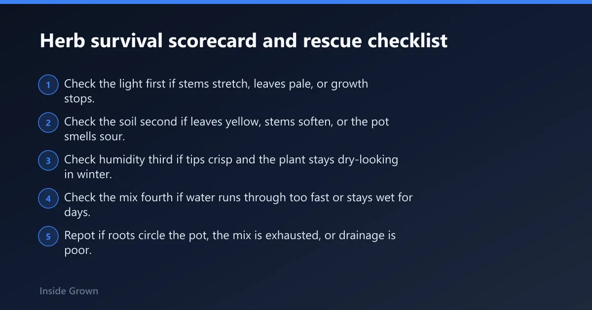 Steps: Herb survival scorecard and rescue checklist