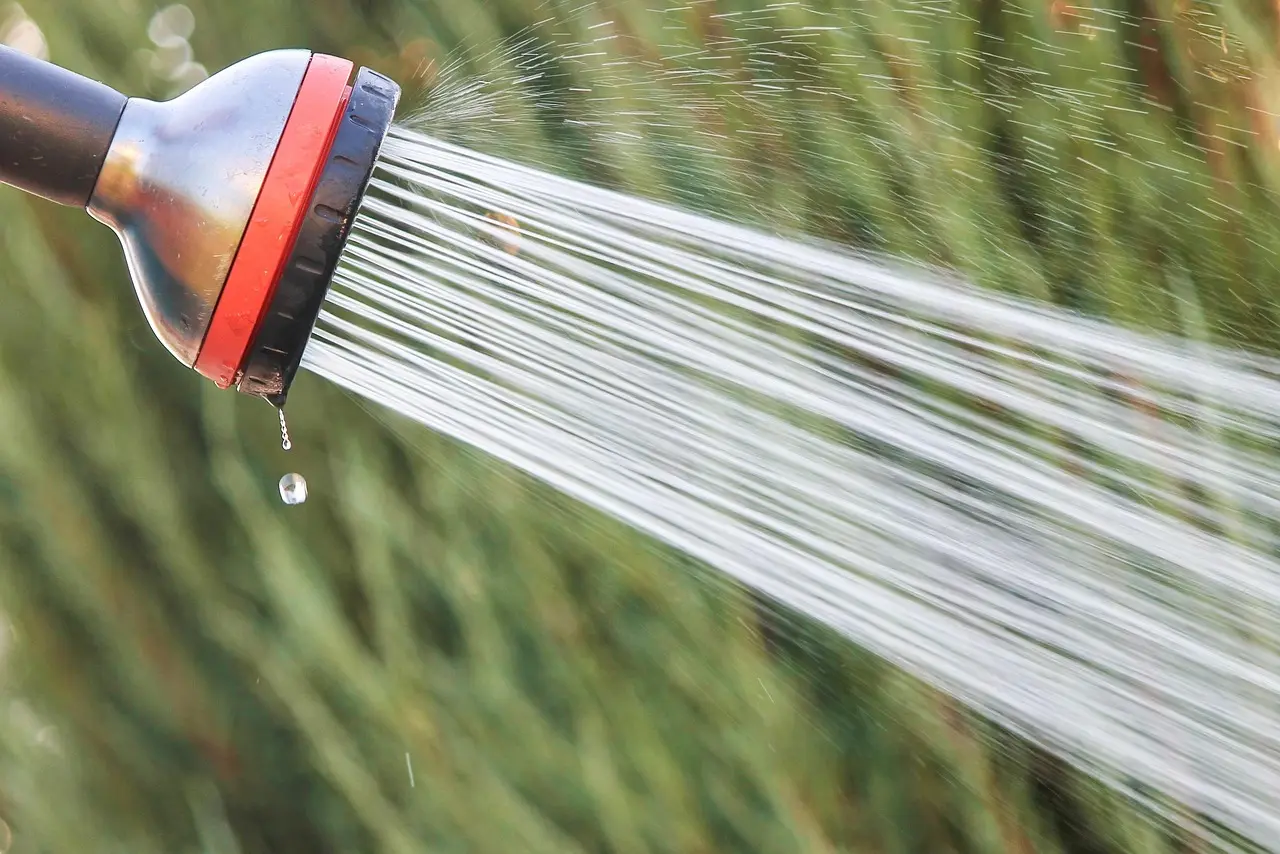 Are soaker hoses better than sprinklers during a heat wave?