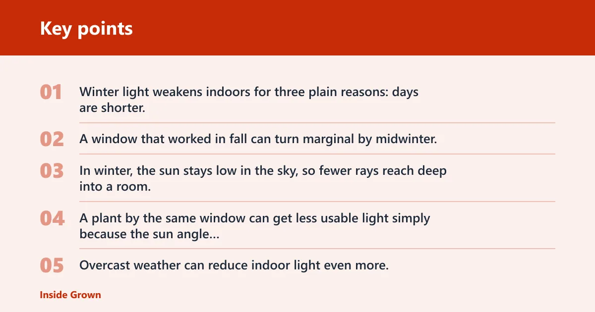 Key points: Winter light changes indoors