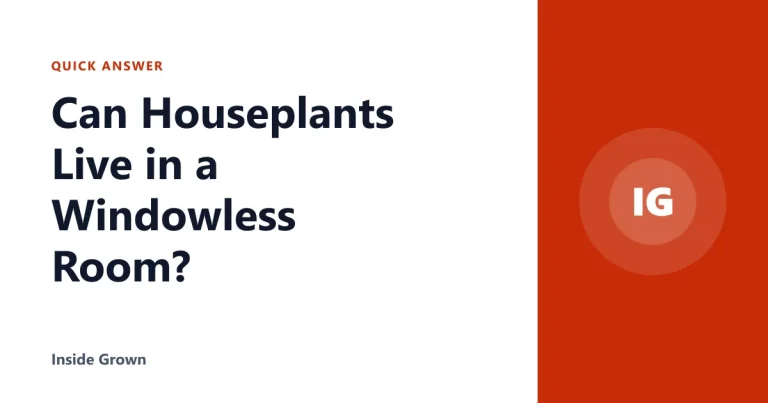 Can Houseplants Live in a Windowless Room?