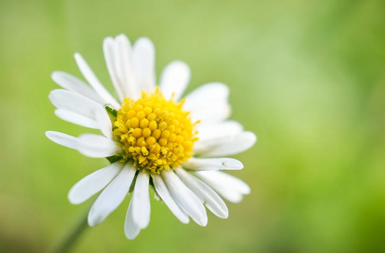 What visible signs show real habitat value?