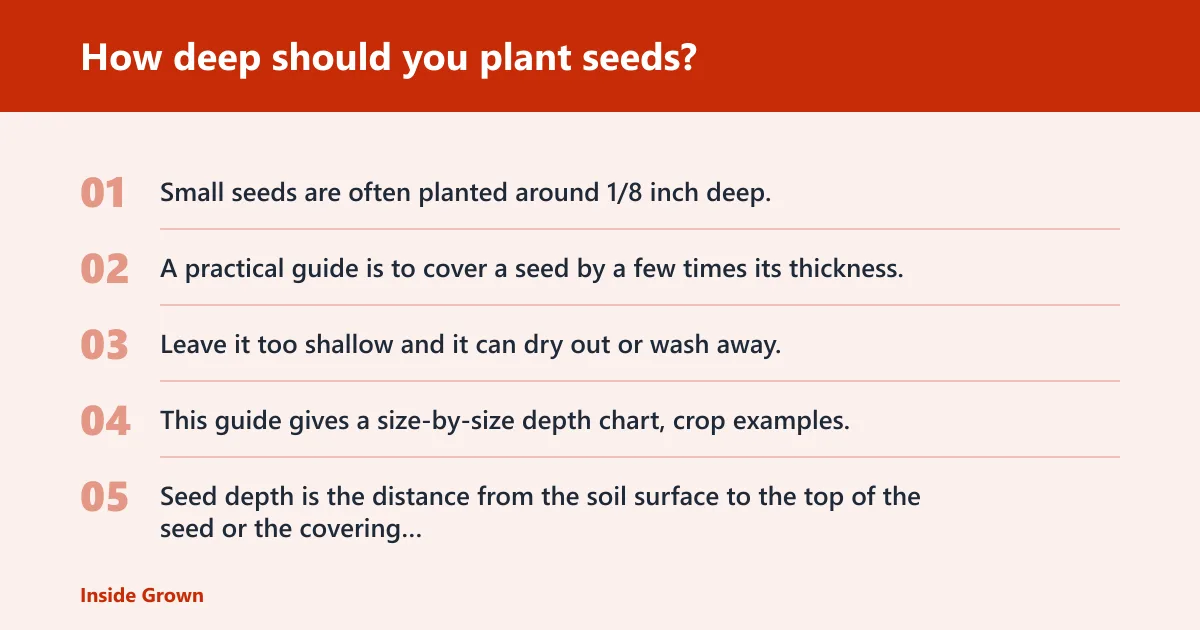 Steps: How deep should you plant seeds?